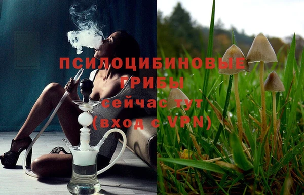 эйфоретик Пестово