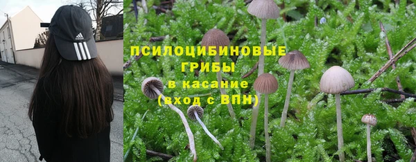 крисы Каменногорск