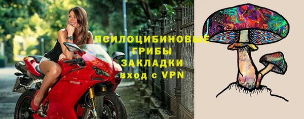 эйфоретик Пестово