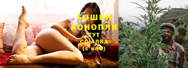 spice Пересвет