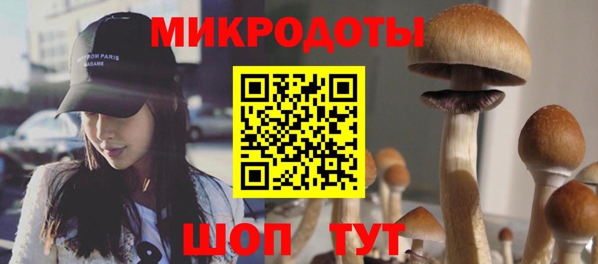 Галлюциногенные грибы прущие грибы  Вход с VPN  Коркино 